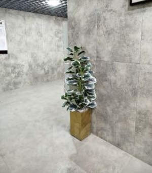 2-к квартира, вторичка, 60м2, 15/25 этаж