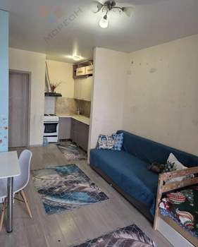 Студия квартира, вторичка, 25м2, 16/16 этаж