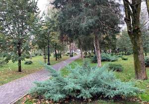 3-к квартира, вторичка, 59м2, 2/9 этаж