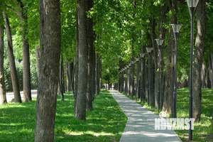 3-к квартира, строящийся дом, 87м2, 17/22 этаж
