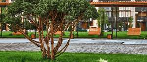 1-к квартира, вторичка, 46м2, 15/18 этаж