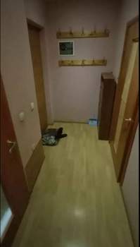 1-к квартира, вторичка, 40м2, 2/3 этаж