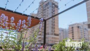 2-к квартира, вторичка, 41м2, 15/19 этаж