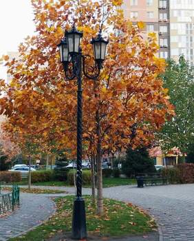 1-к квартира, вторичка, 35м2, 2/18 этаж