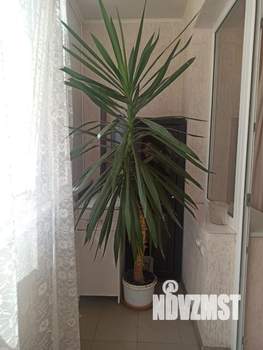 1-к квартира, вторичка, 45м2, 3/8 этаж