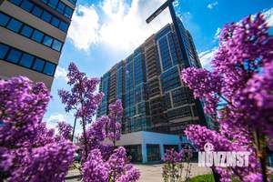 3-к квартира, сданный дом, 82м2, 9/23 этаж