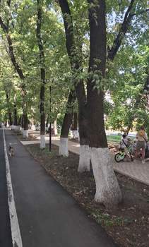 1-к квартира, вторичка, 41м2, 8/16 этаж