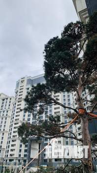 1-к квартира, вторичка, 50м2, 8/24 этаж