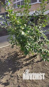 3-к квартира, вторичка, 67м2, 4/19 этаж