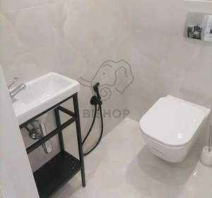 1-к квартира, вторичка, 55м2, 11/16 этаж