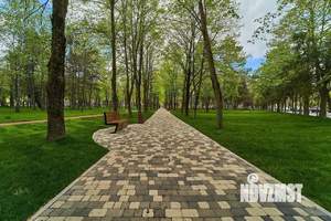 Студия квартира, вторичка, 23м2, 1/5 этаж