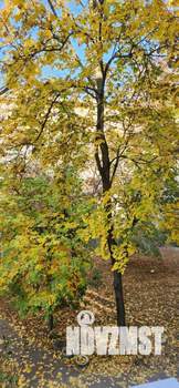 2-к квартира, вторичка, 48м2, 3/5 этаж