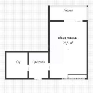 Студия квартира, вторичка, 25м2, 5/16 этаж