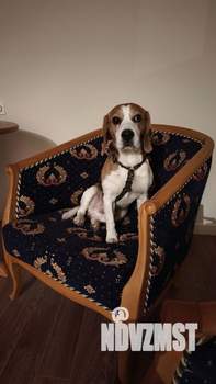 4-к квартира, вторичка, 119м2, 10/10 этаж