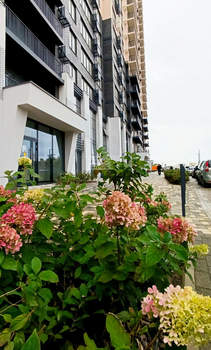 4-к квартира, вторичка, 81м2, 19/24 этаж