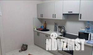 1-к квартира, вторичка, 36м2, 1/16 этаж