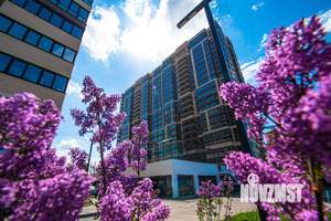 1-к квартира, сданный дом, 39м2, 11/22 этаж