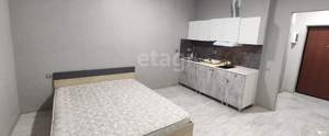 Студия квартира, вторичка, 24м2, 4/16 этаж