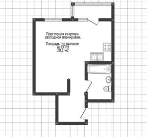 Студия квартира, вторичка, 28м2, 15/24 этаж