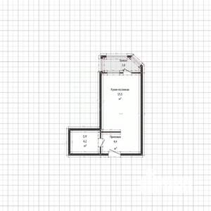 Студия квартира, вторичка, 24м2, 10/16 этаж