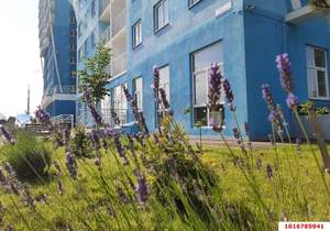 1-к квартира, вторичка, 35м2, 2/24 этаж