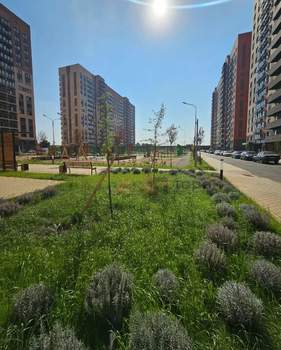 1-к квартира, вторичка, 35м2, 7/12 этаж