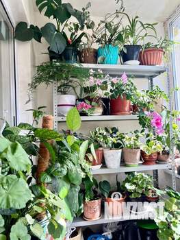 3-к квартира, вторичка, 77м2, 3/10 этаж