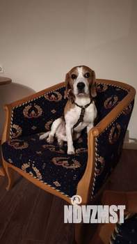 4-к квартира, вторичка, 119м2, 10/10 этаж