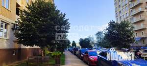 1-к квартира, вторичка, 43м2, 7/16 этаж
