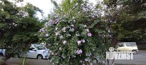 1-к квартира, вторичка, 38м2, 14/16 этаж