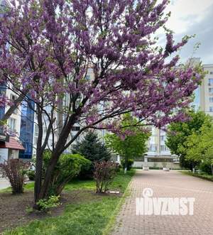 2-к квартира, вторичка, 83м2, 8/10 этаж