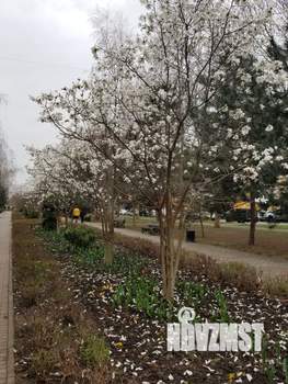 3-к квартира, вторичка, 82м2, 6/16 этаж