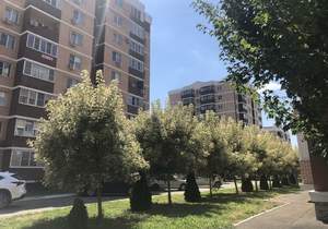 2-к квартира, вторичка, 67м2, 6/9 этаж