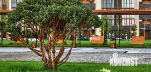 Студия квартира, вторичка, 23м2, 6/18 этаж