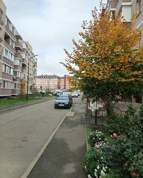 Студия квартира, вторичка, 23м2, 4/5 этаж