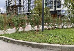 3-к квартира, вторичка, 105м2, 8/24 этаж