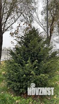 2-к квартира, вторичка, 91м2, 7/24 этаж