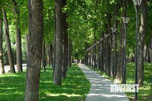 3-к квартира, строящийся дом, 85м2, 2/22 этаж