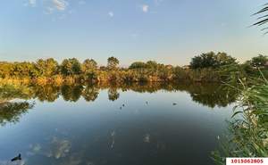 3-к квартира, вторичка, 77м2, 4/9 этаж